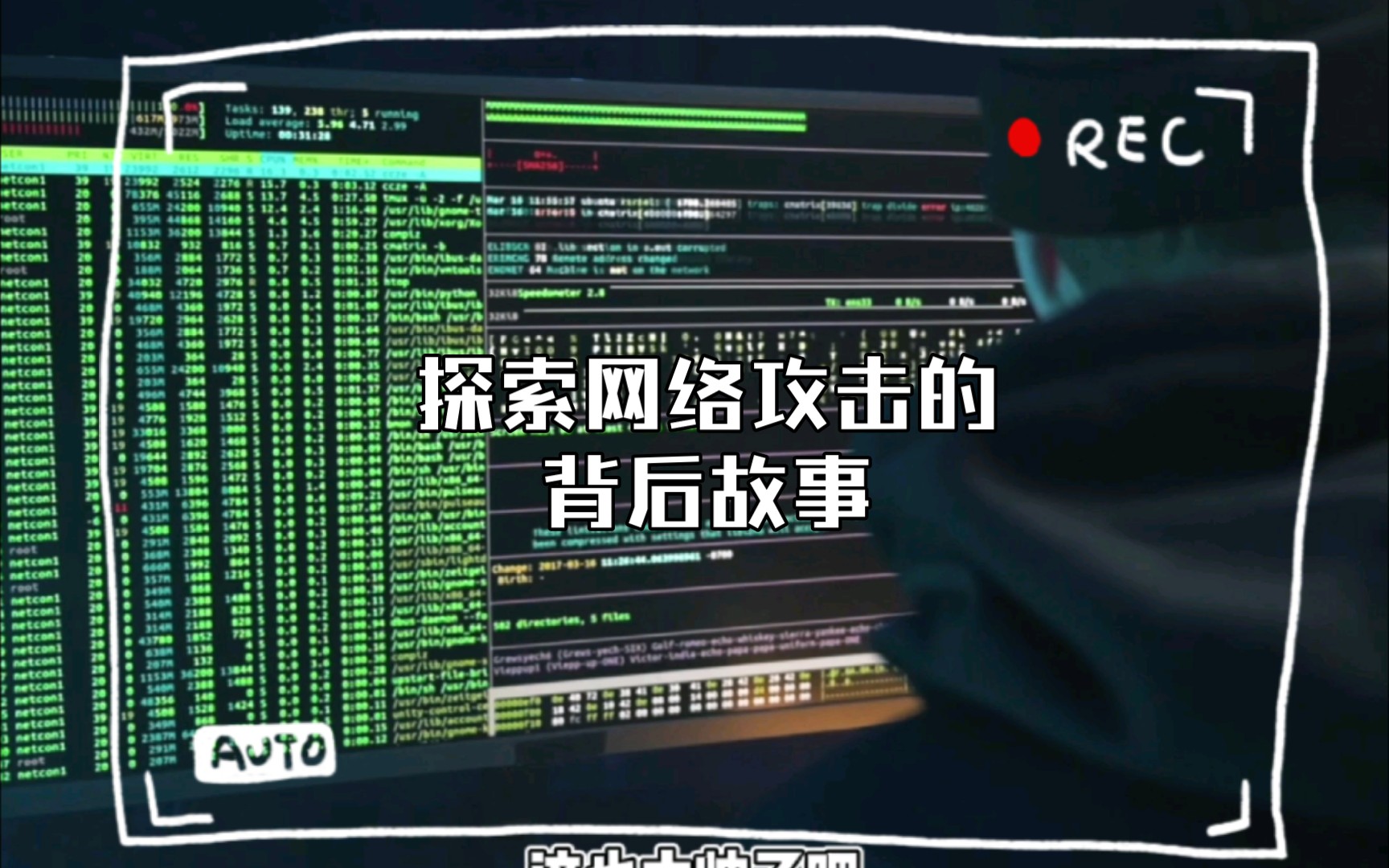 多彩网，探索网络世界的无限可能-第2张图片