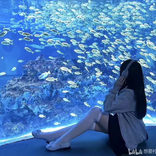 快 猫 纪录世界你下载快猫记录世界记录你下载体验