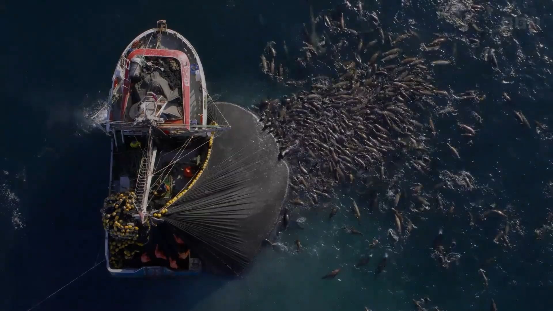 捕鱼之海底捞电脑版逗游网捕鱼之海底捞电脑版-第2张图片