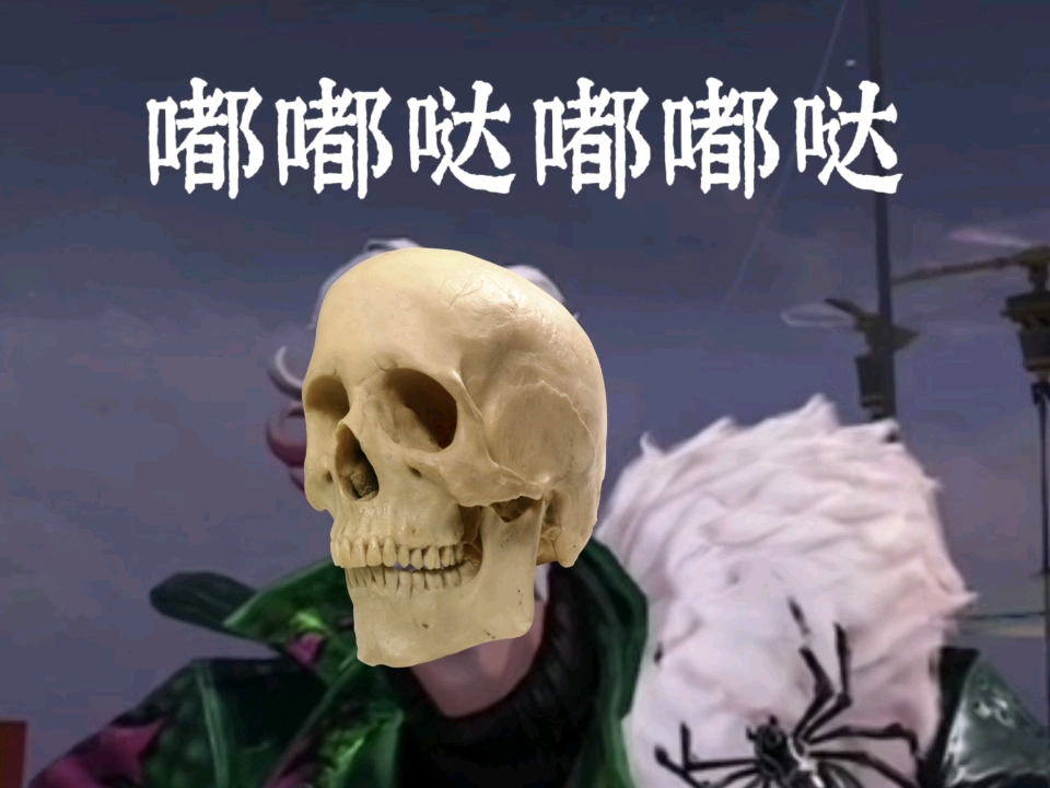 博狗网，优质服务的VIP体验