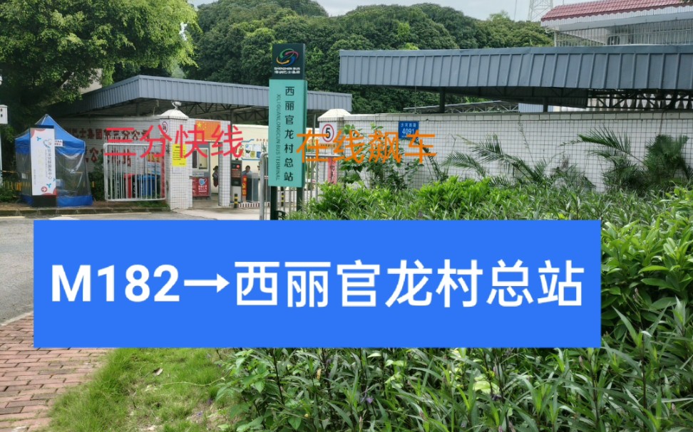 特区总站资料大全特区总站，开放与发展的前沿-第3张图片