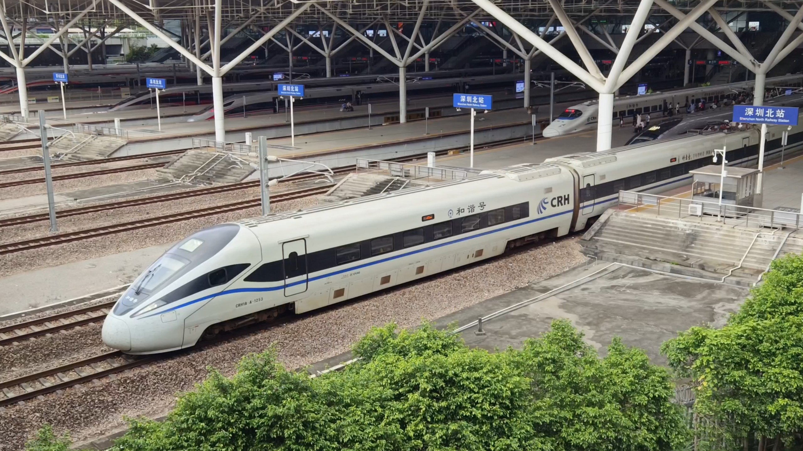 广州到厦门高铁多少钱广州至厦门高铁之旅-第2张图片