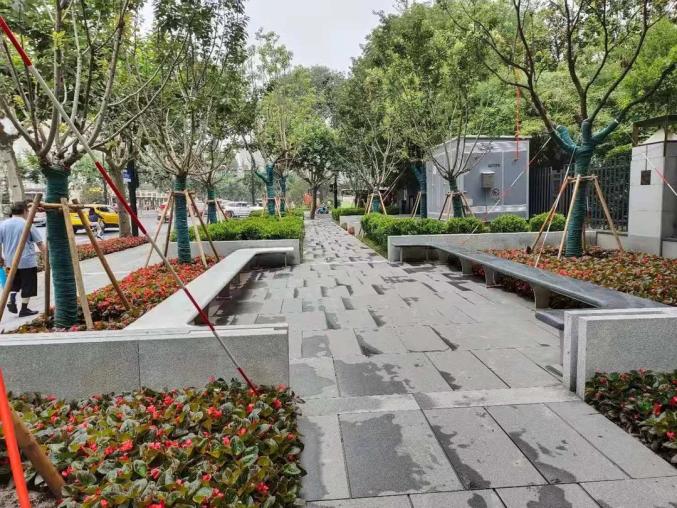 芳草地心水论坛，探索心灵交流的绿色空间