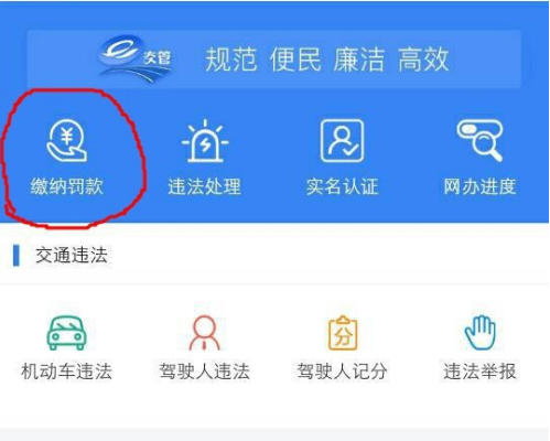 123123违章车辆查询123123违章车辆查询