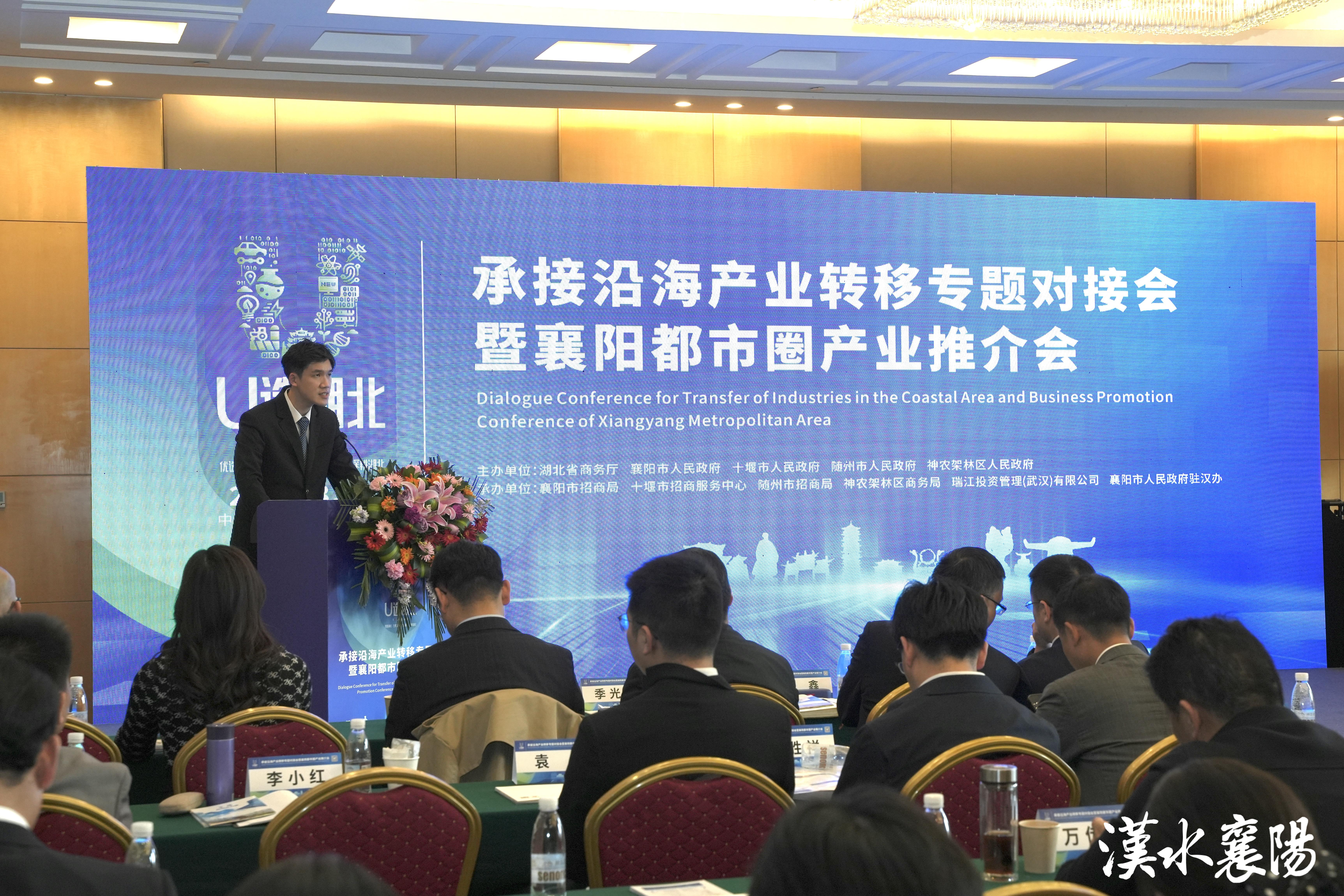 澳门特中一肖一码，神秘与机遇-第2张图片