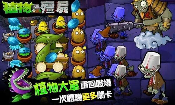 开罗之星破解版开罗之星，璀璨的古都魅力-第2张图片