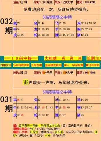 王中王开奖结果l查询王中王开奖结果揭晓，49333-第2张图片