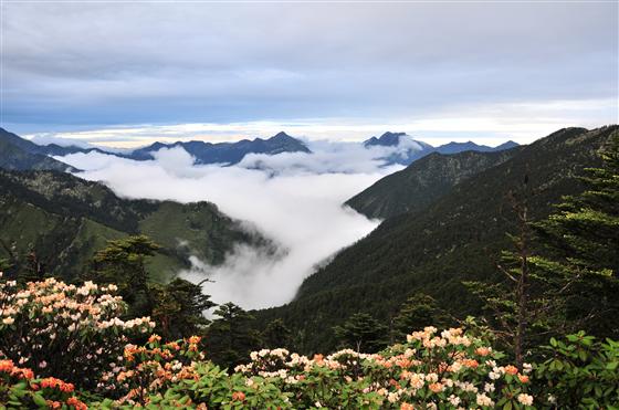 芳草地心水论坛芳草地心水论坛，探索心灵交流的圣地-第2张图片