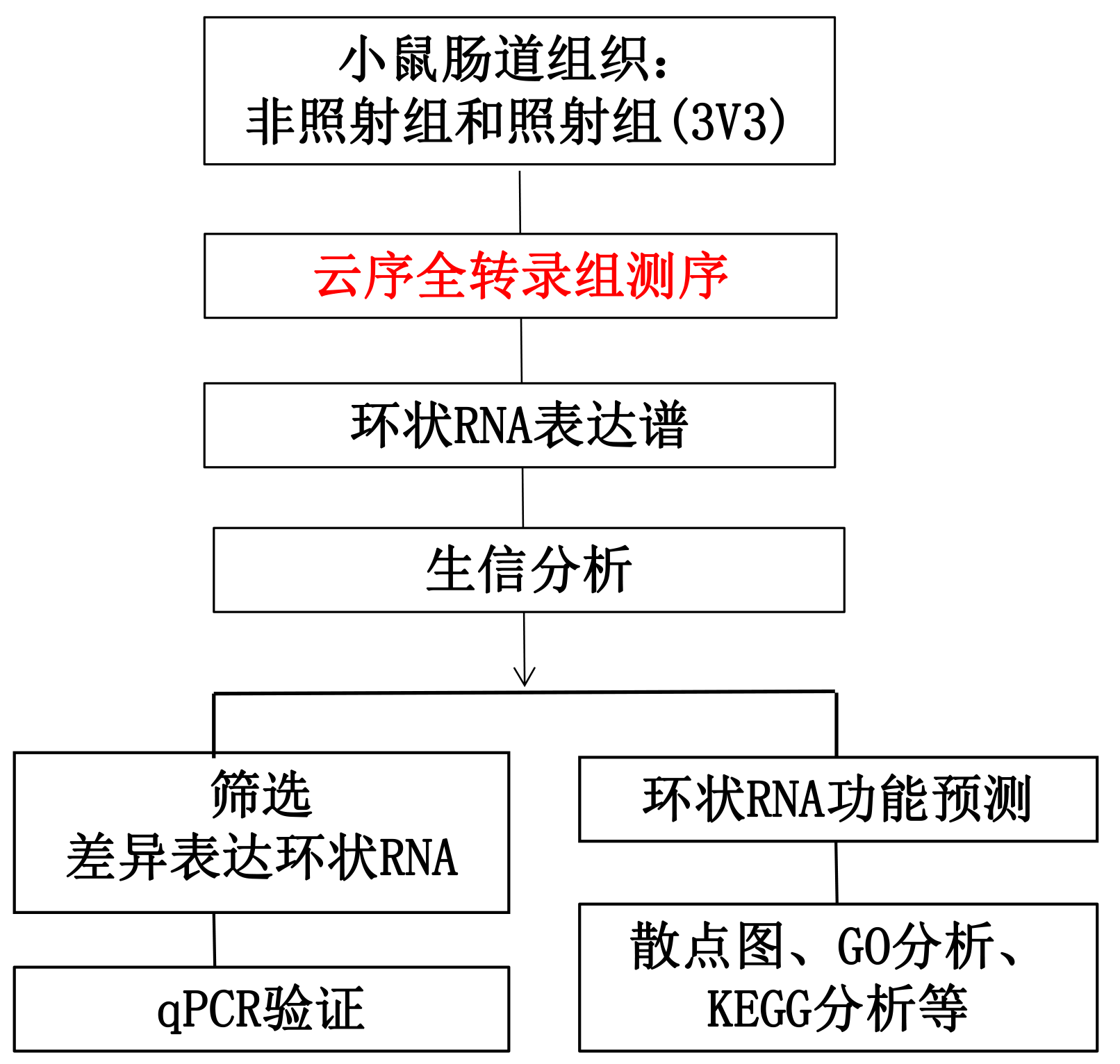 X77论坛，探索技术前沿的交流平台