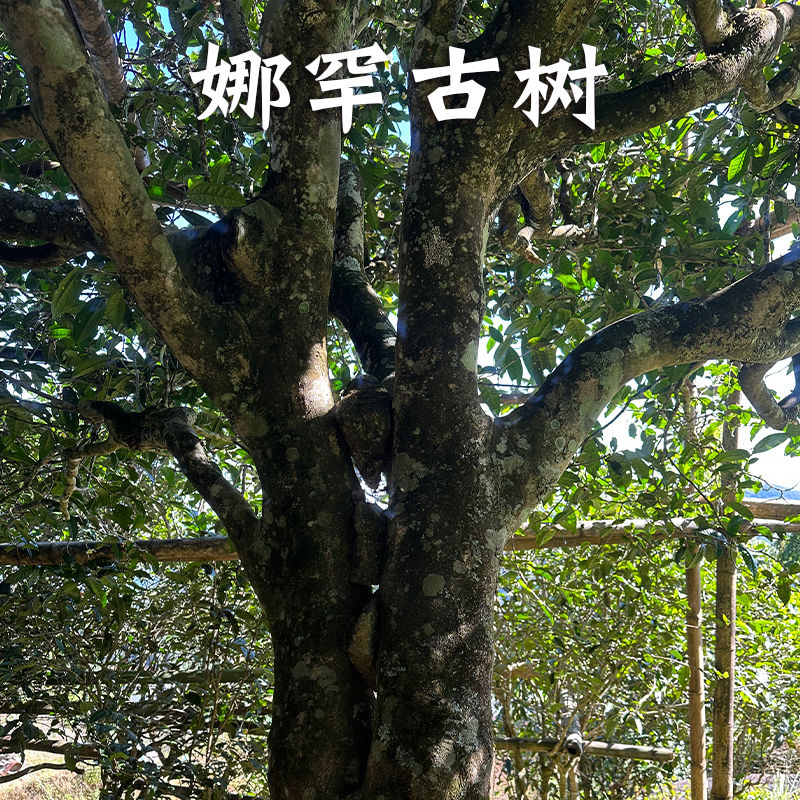 六2018开奖记录2018六开彩开奖现场直播-第1张图片