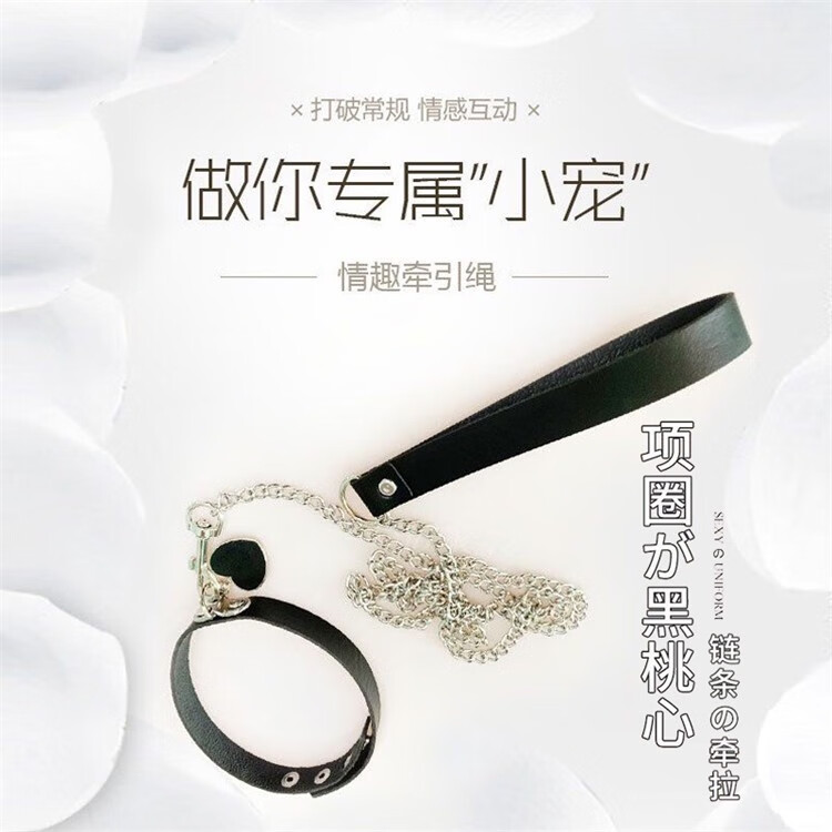 调教女佣攻略