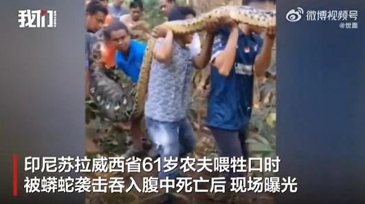 最强农夫的神医技能最强农夫-第2张图片