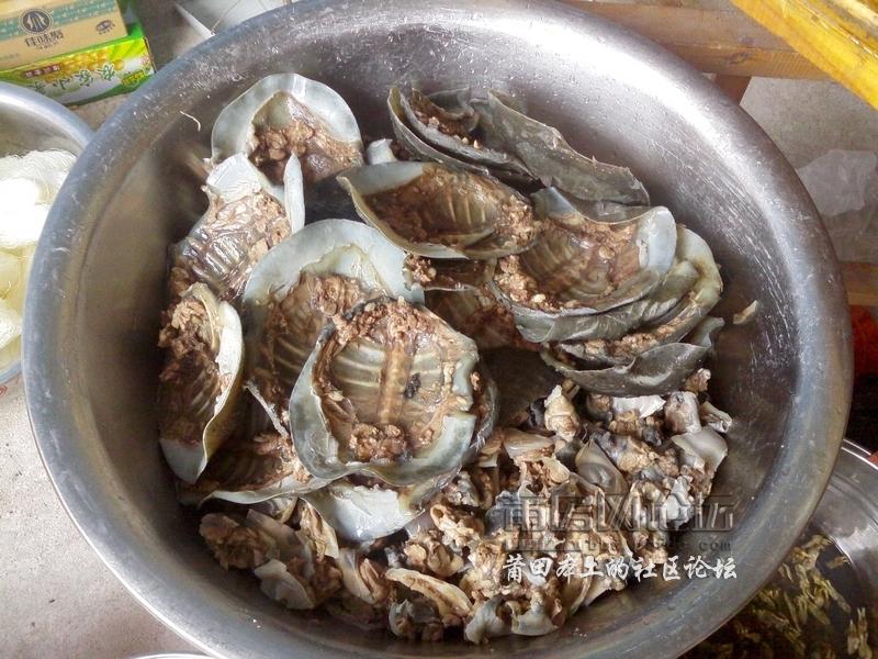 土地公论坛土地公论坛，探索土地资源与未来发展的智慧之窗-第1张图片