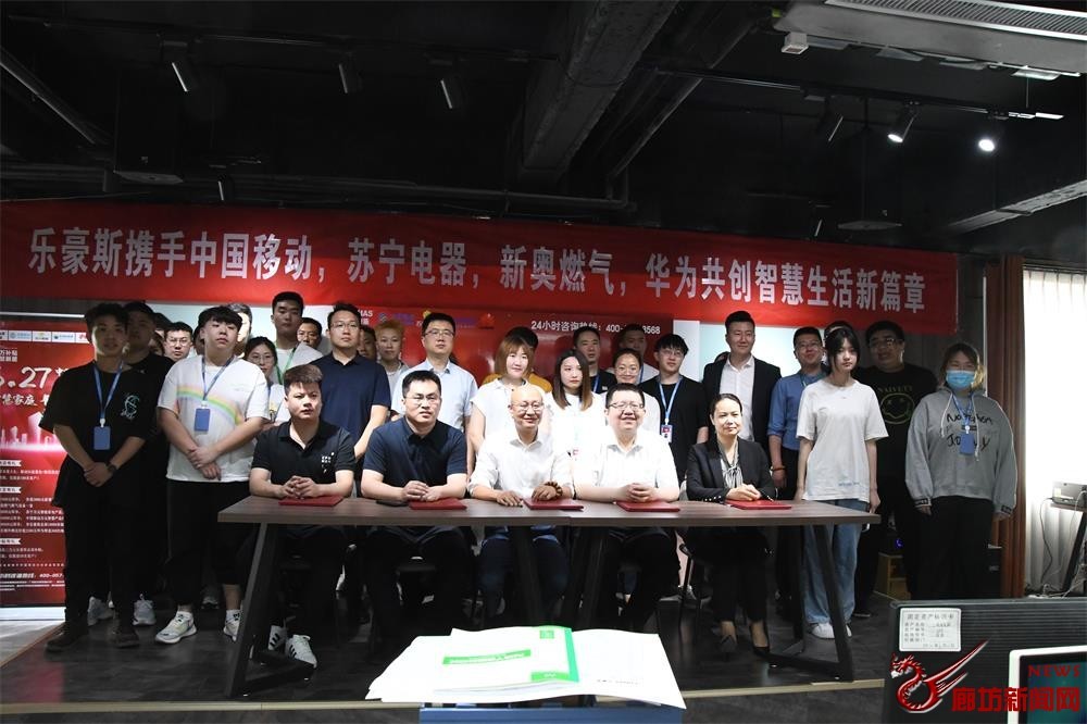 新奥天天开内部资料，揭秘公司发展新篇章