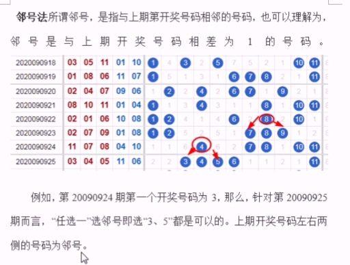 管家婆最准一肖一码，精准预测与幸运之选
