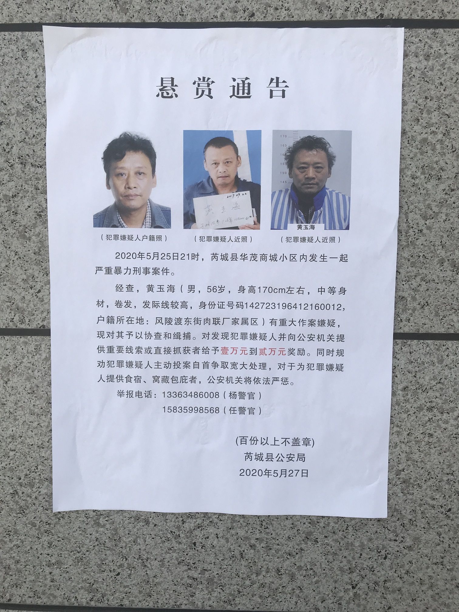 现场报码聊天室，探索实时交流的新天地