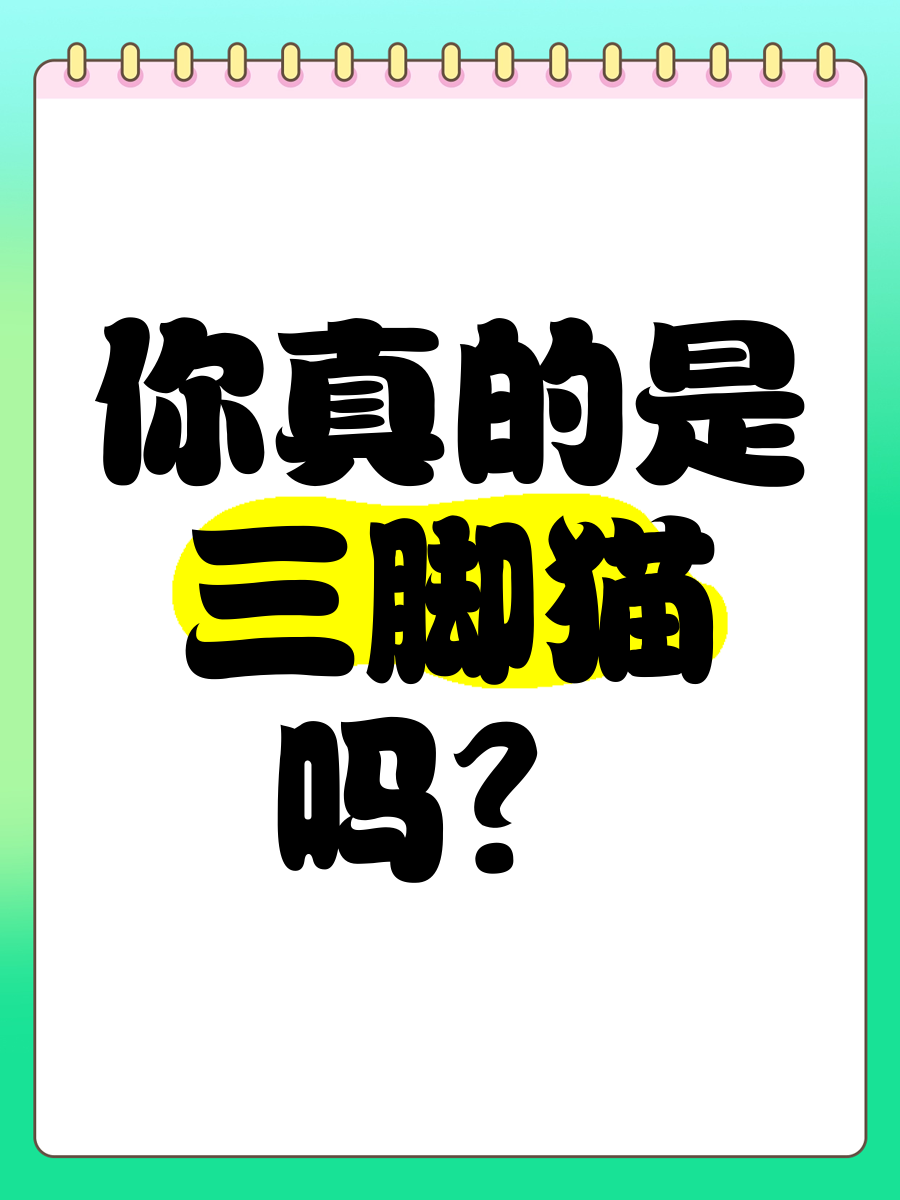 三脚猫论坛，探索网络交流的新天地-第3张图片