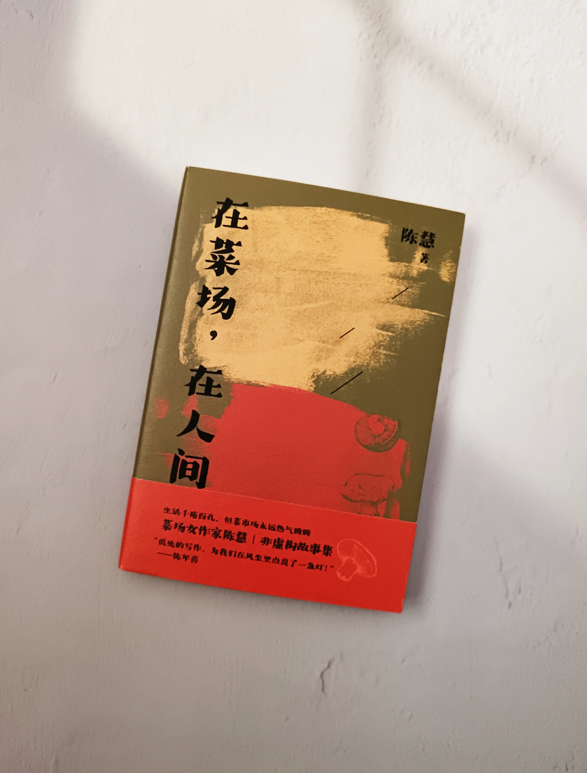陈南李惠然免费阅读全文小说陈南李惠然免费阅读全文小说