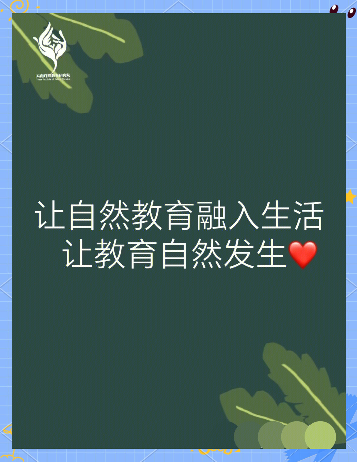 选天录选天录，探寻自然之美与人生智慧-第3张图片