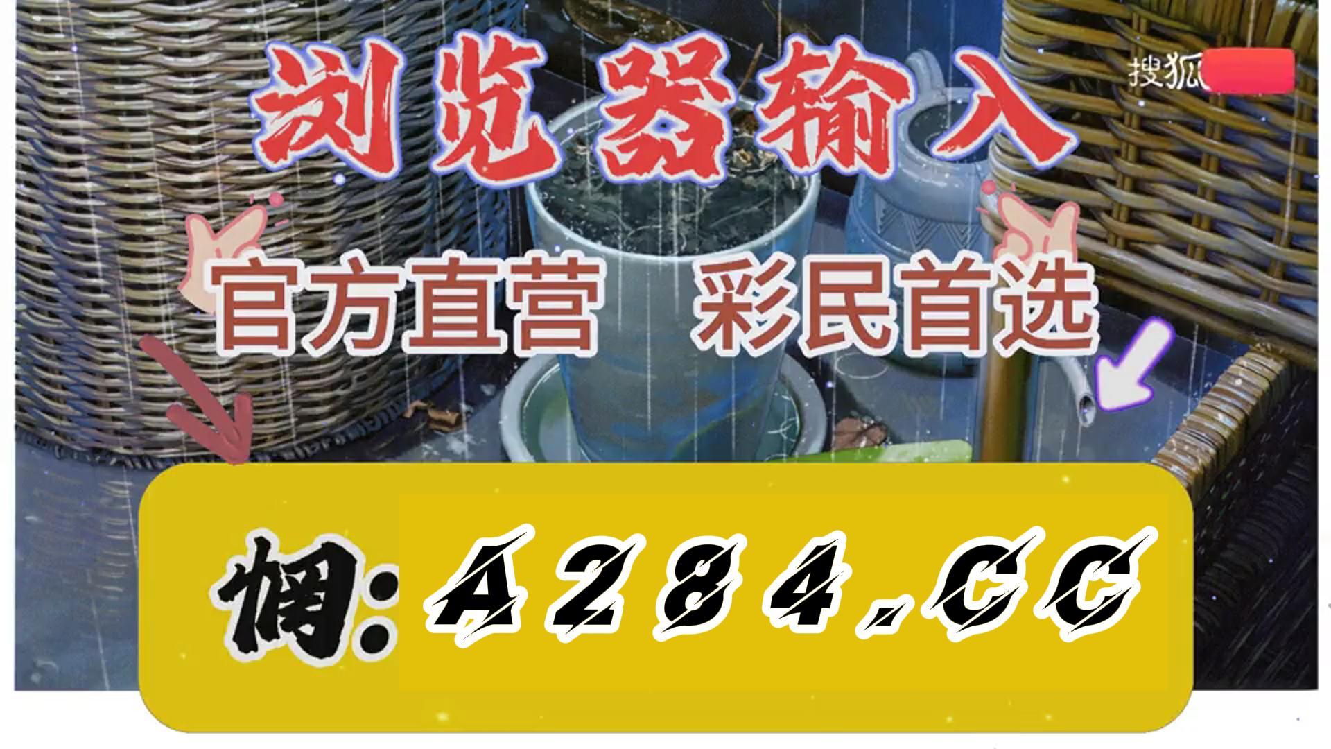高手彩票网高手彩票网，彩票投注的新选择-第2张图片