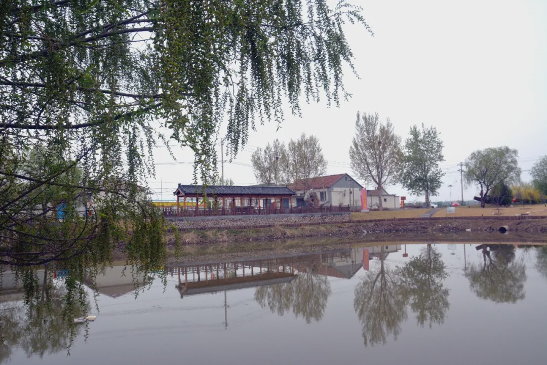 乡村欲爱，免费阅读的诗意田园-第2张图片