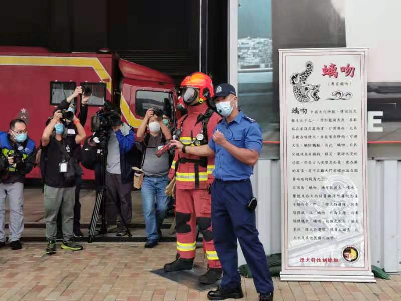 香港挂牌今天香港挂牌今日综述