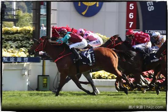 2019年香港开奖结果2019年香港开奖结果回顾