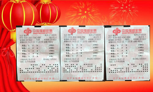 三码中特期期，揭秘神秘彩票