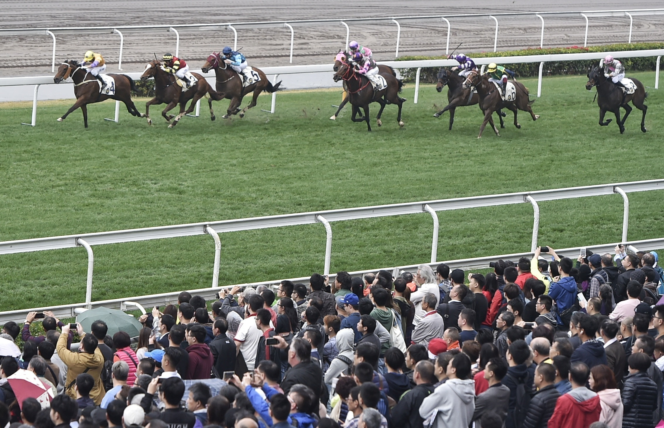 香港开马开奖现场直播下载香港开马开奖现场直播下载-第2张图片