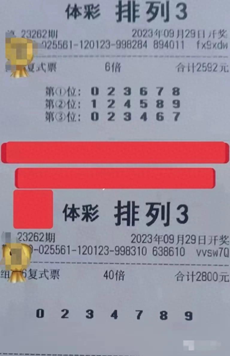排列三开奖号码今天开奖结果排列三今天开奖号码揭晓-第2张图片