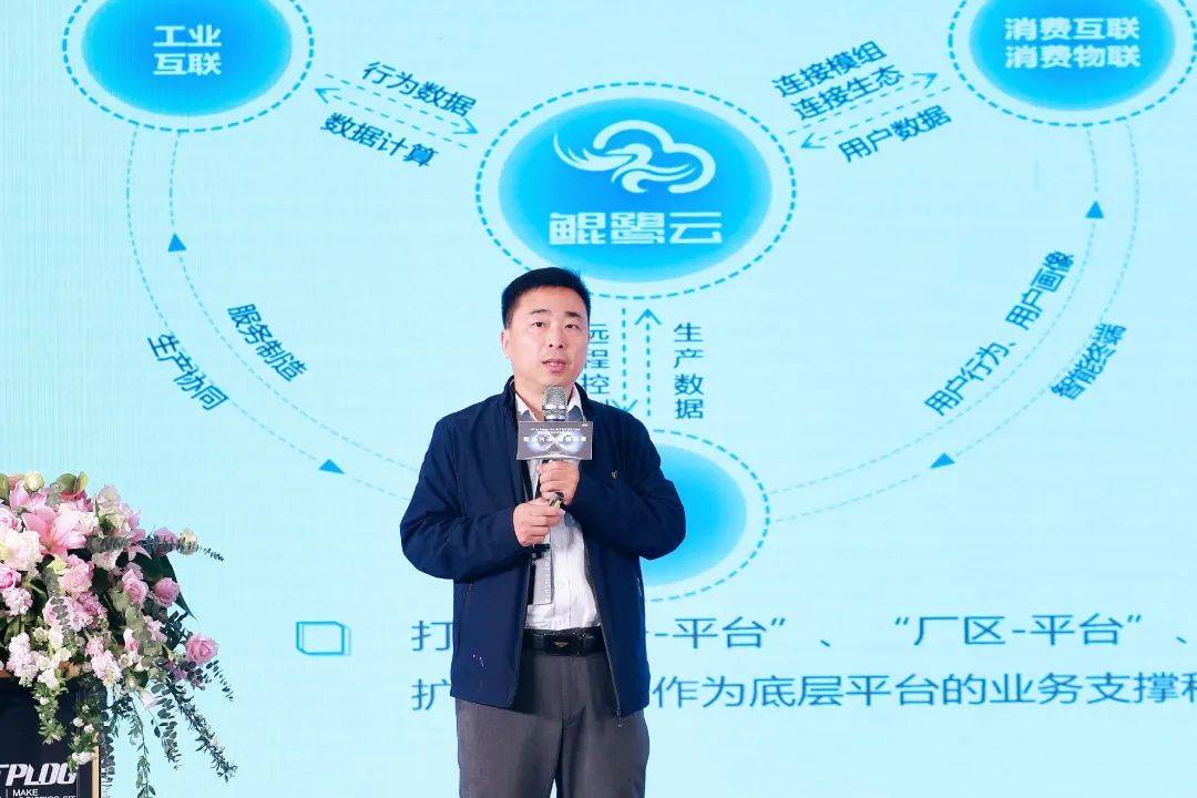 探索05fff.com，数字时代的神秘世界