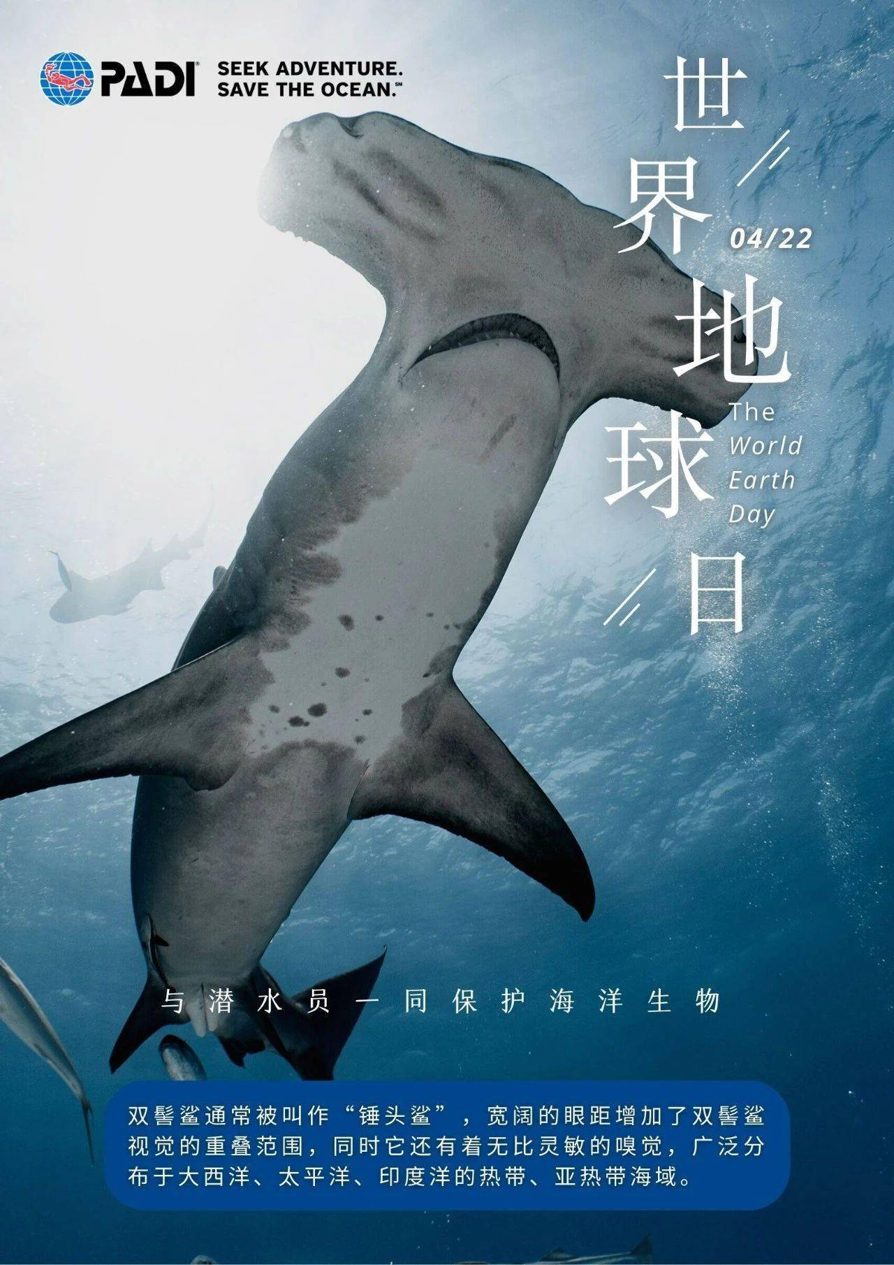 吼吼鲸进化吼吼鲸，海洋中的神秘生物