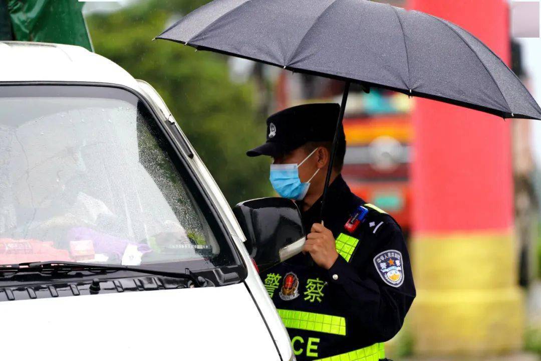 衣卫士，守护衣物的忠诚卫士