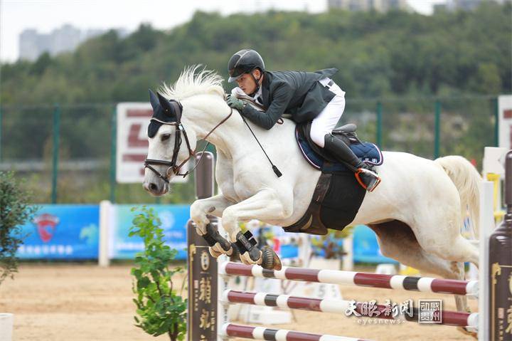 2021马会资料精选免费大全2019正版马会资料大全-第2张图片