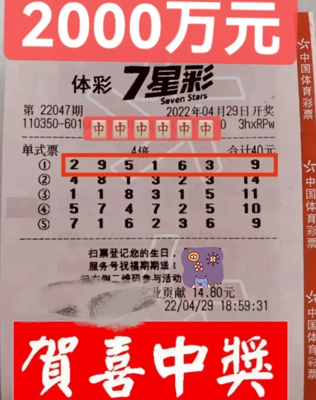 特区七星彩特区七星彩，探索特区彩票的魅力-第3张图片