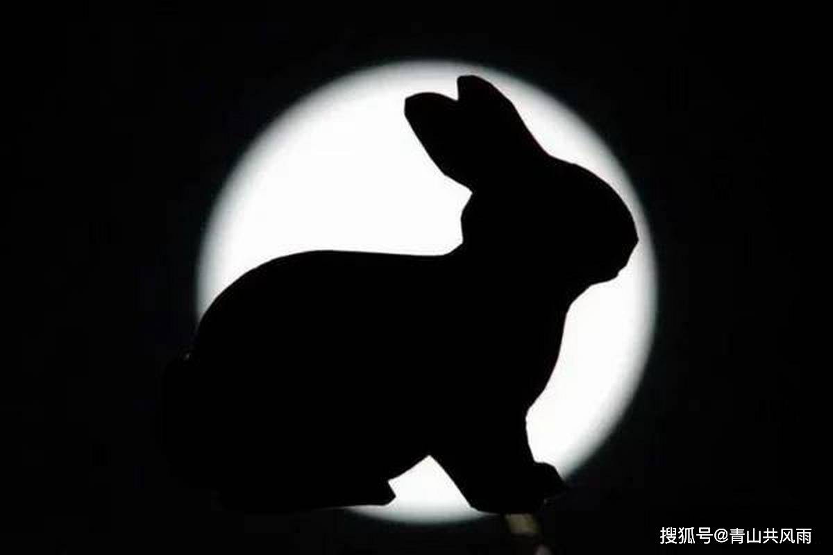 兔年三大预言兔年三大预言-第2张图片