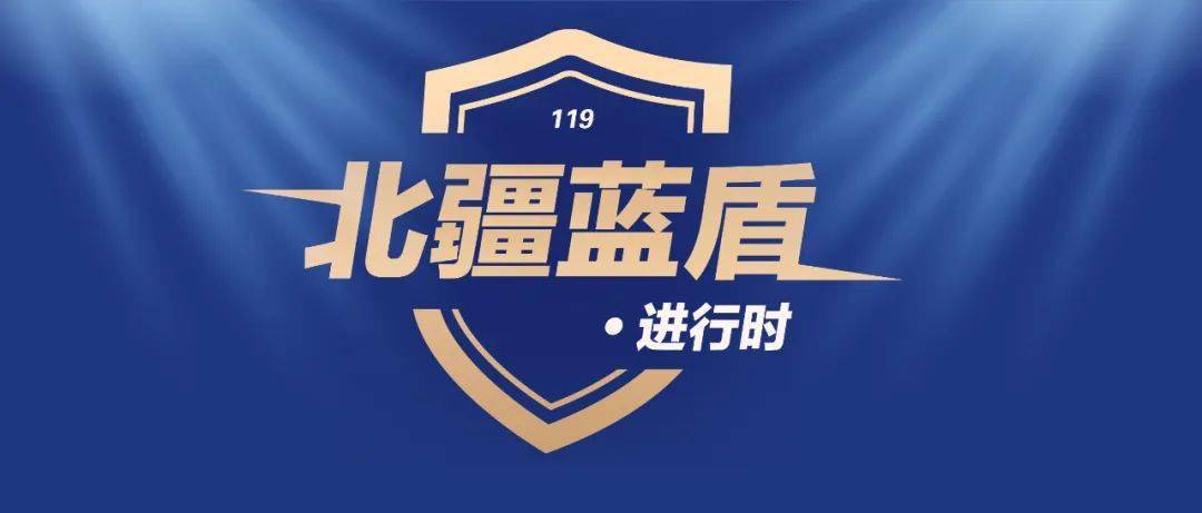 蓝盾在线，网络安全的新篇章-第3张图片