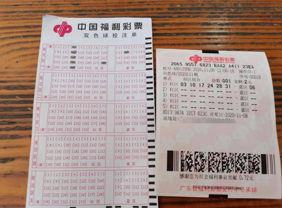 彩票至尊网，探索彩票新世界
