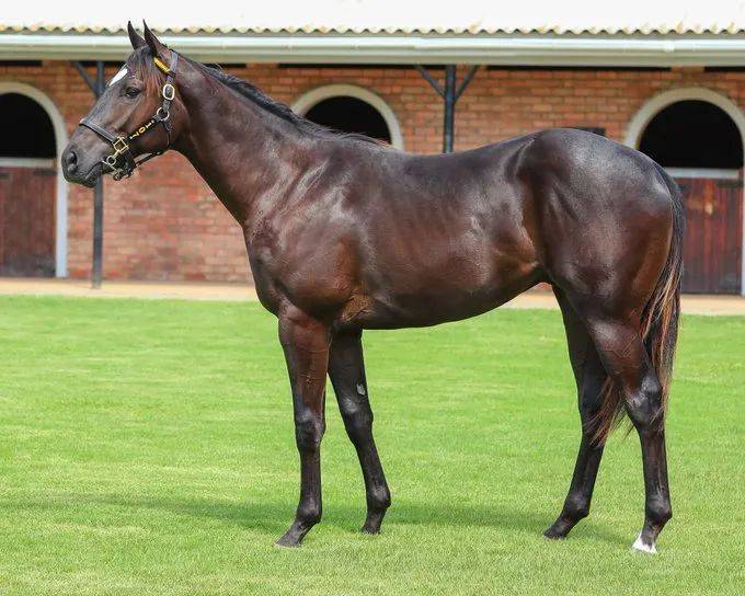 2021年马会正版香港资料大全2021年马会正版香港资料大全