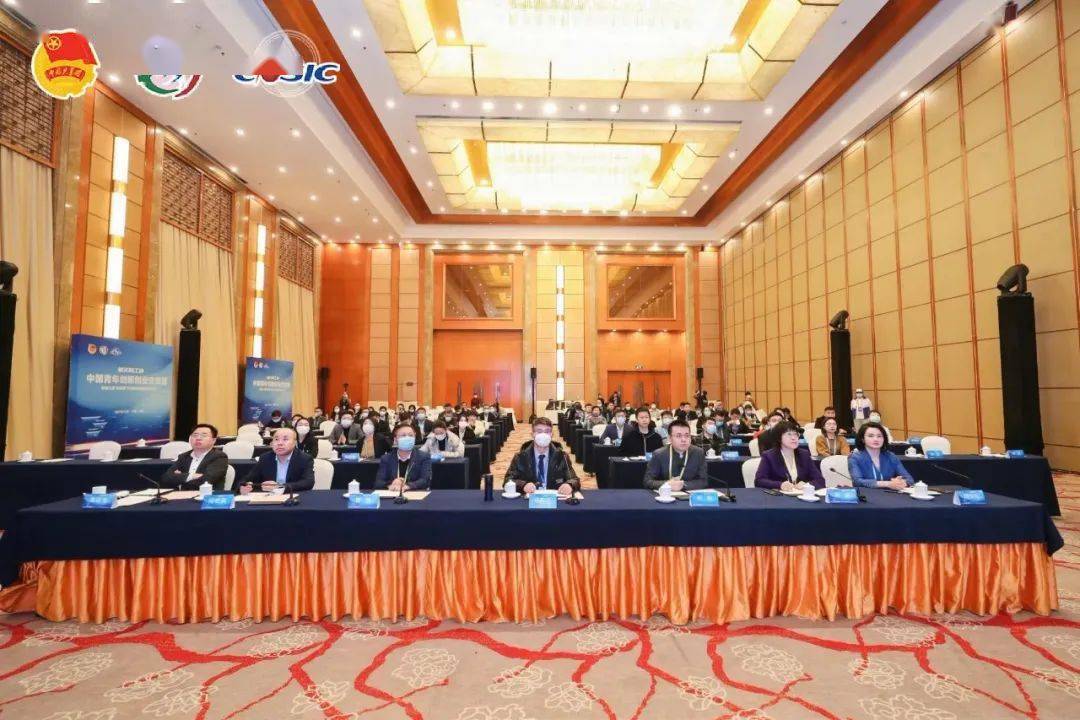乐安论坛，探讨社区交流与信息共享的平台
