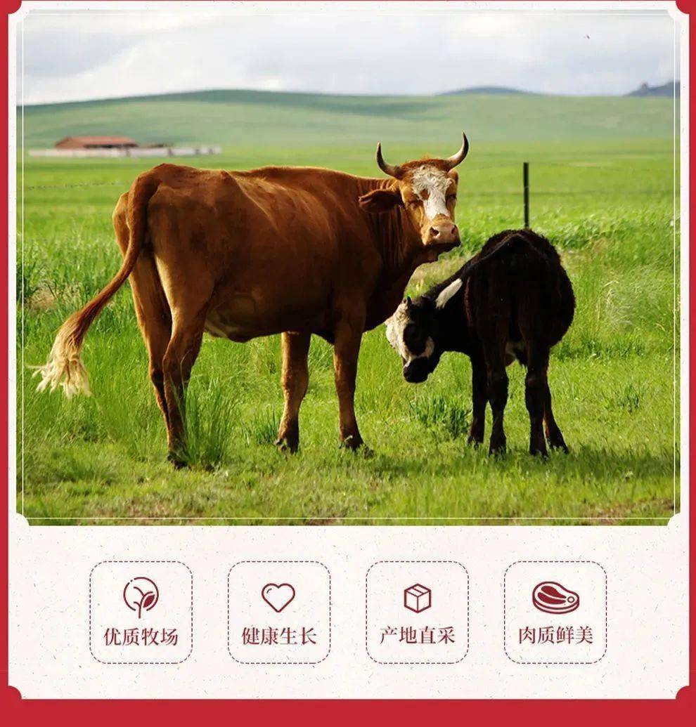 246天天好釆免费大全246天天好釆免费大全