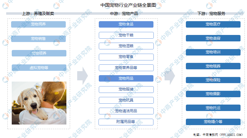 博狗网HAOBC，引领宠物行业的新篇章