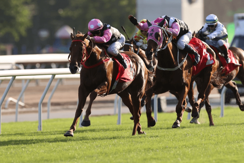 香港赛马会免费贴士香港赛马会免费资源网，探索免费资源的无尽宝藏-第2张图片