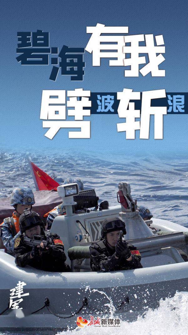 地面防卫军地面防卫军，守护国家安全的钢铁长城-第2张图片