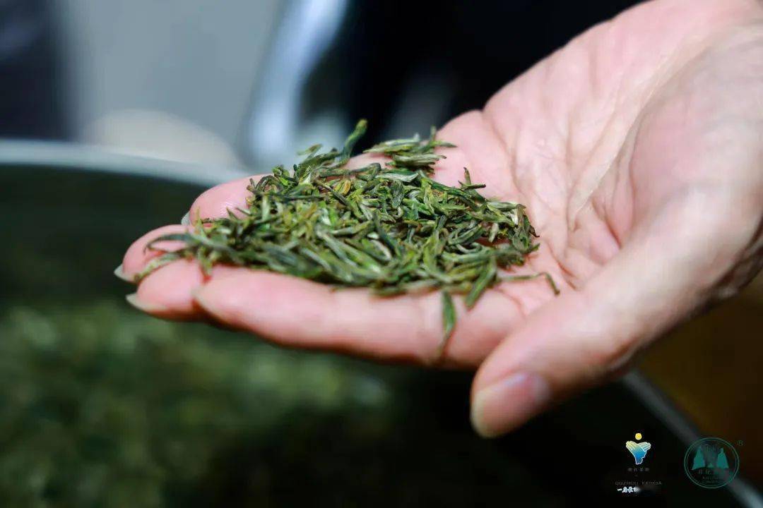 开化龙顶开化龙顶，品味独特的茶文化