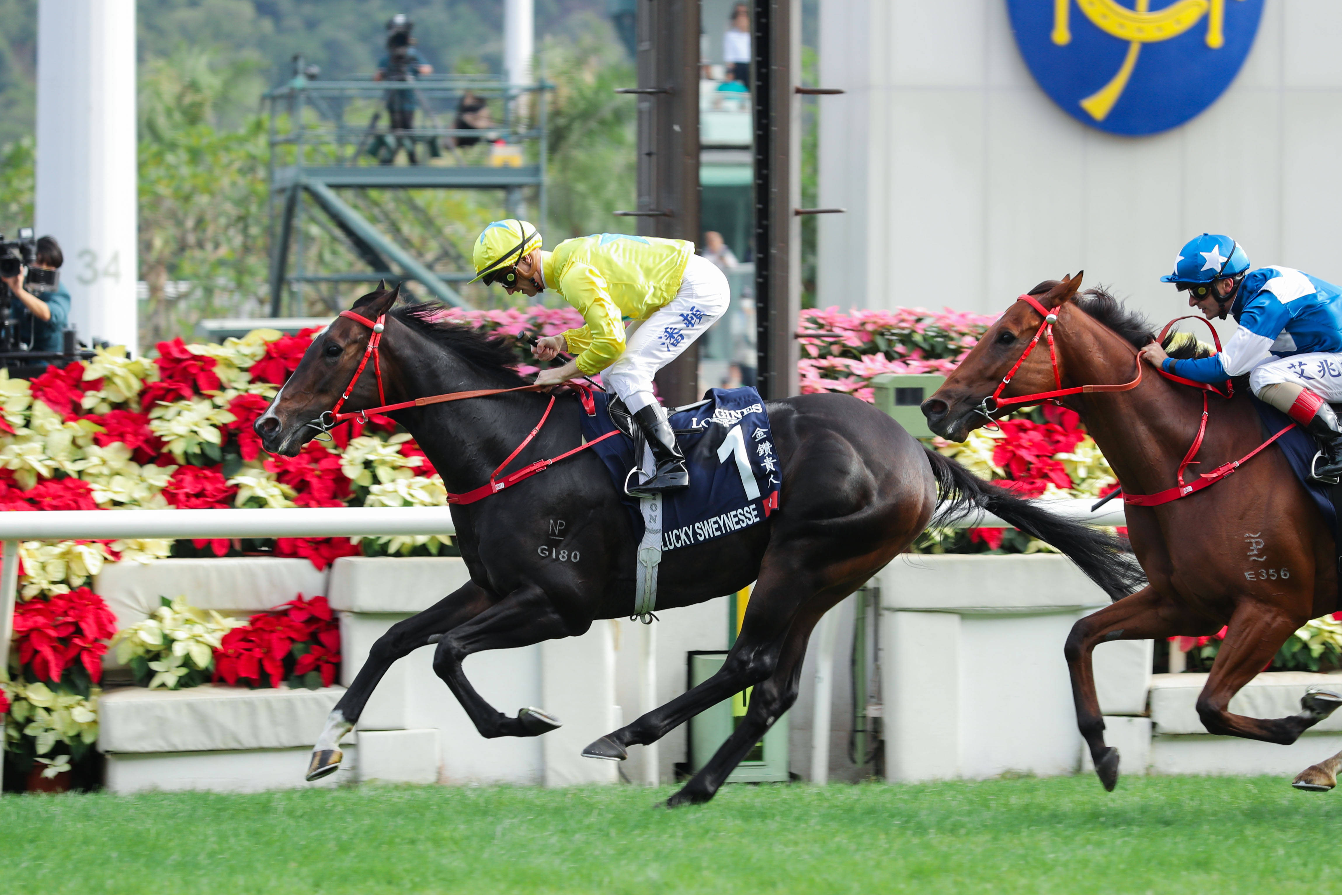 香港马会内部免费资料香港马会内部免费资料，探索内部资源的无限可能