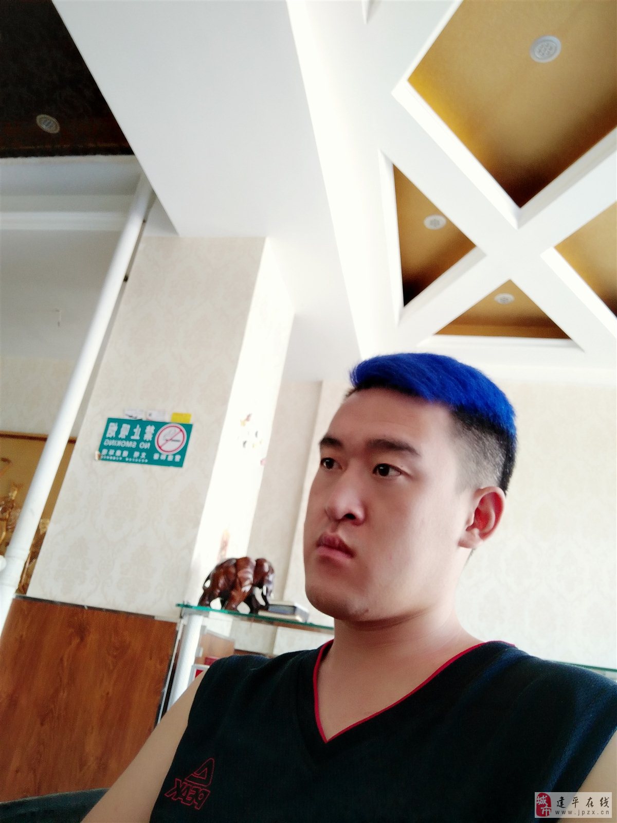 小马哥论坛，探索网络交流的新天地-第2张图片