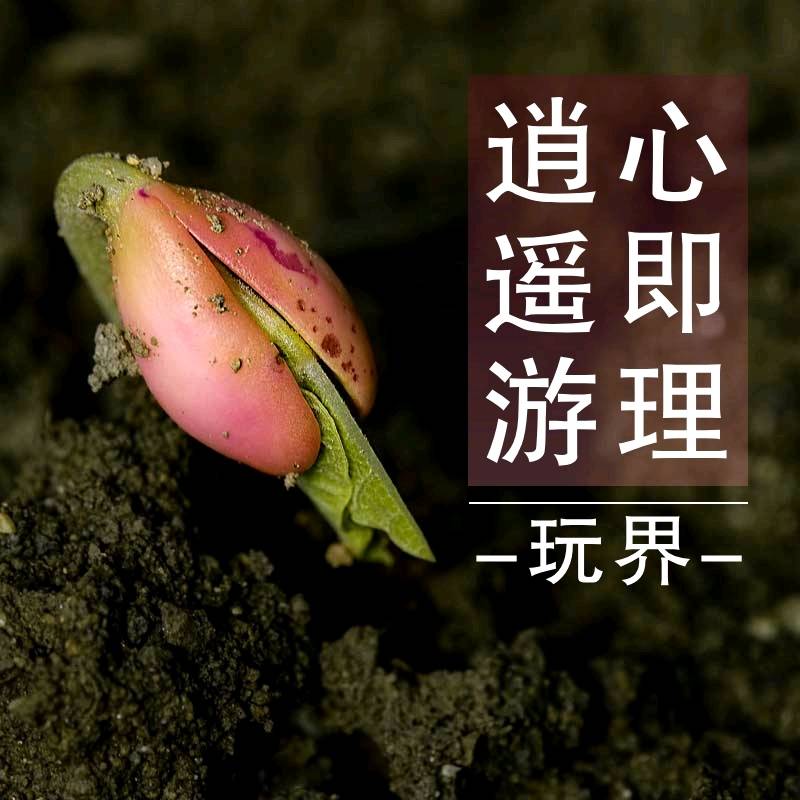 熊猫人安卓下载熊猫人下载，探索数字时代的文化新宠-第1张图片