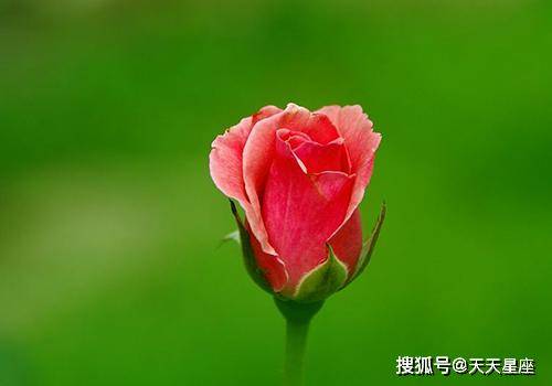 第一运程第一运程，探寻未来趋势与预测