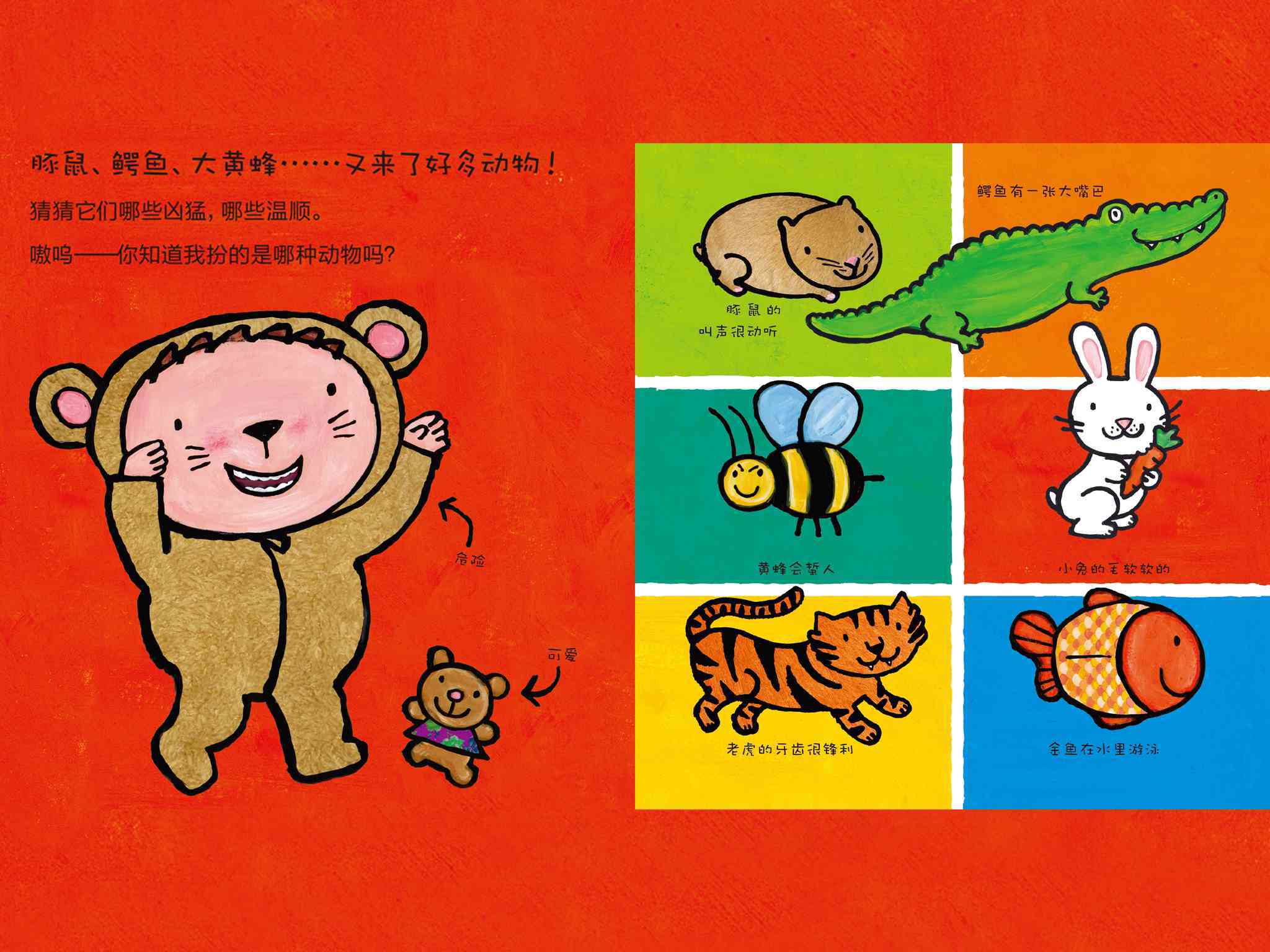 老虎宝典最新版下载老虎宝典，解锁自然之秘